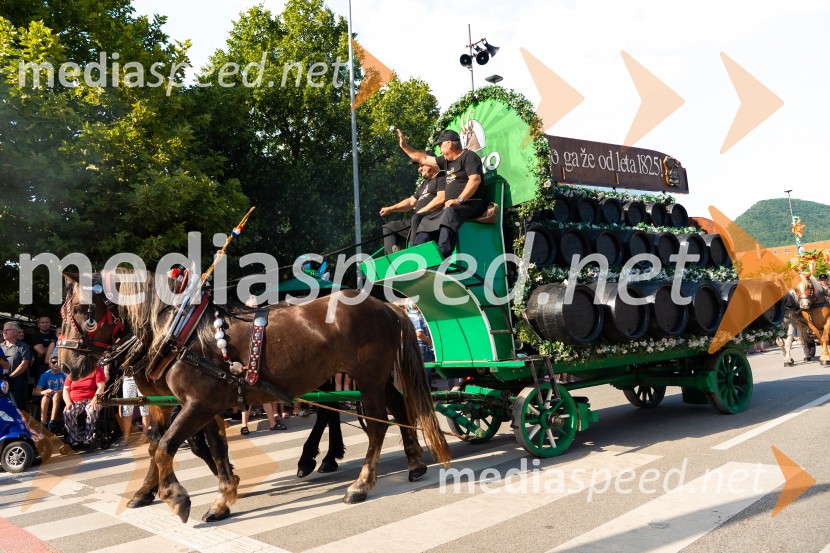 Pivo in cvetje 2026, nedelja