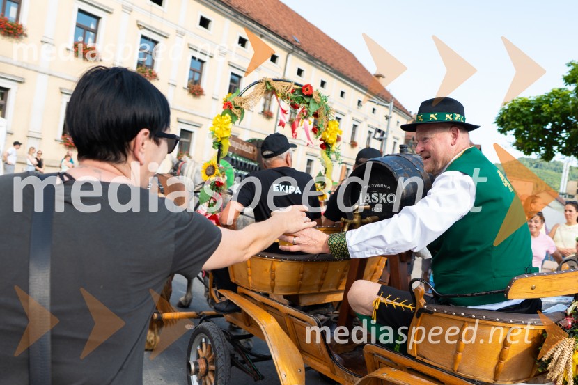 Pivo in cvetje 2026, nedelja
