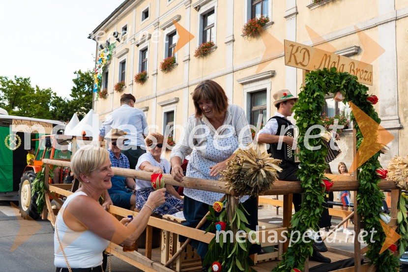 Pivo in cvetje 2026, nedelja