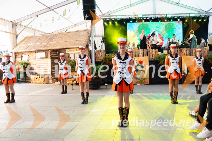 Pivo in cvetje 2026, nedelja