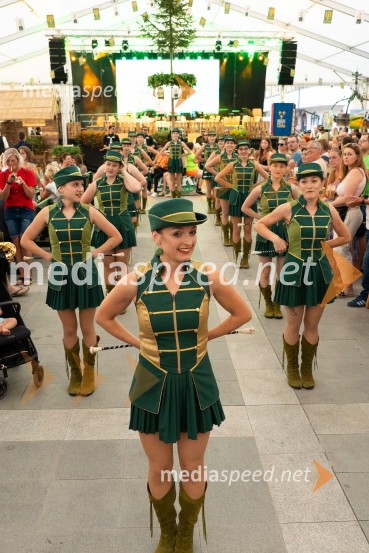 Pivo in cvetje 2026, nedelja