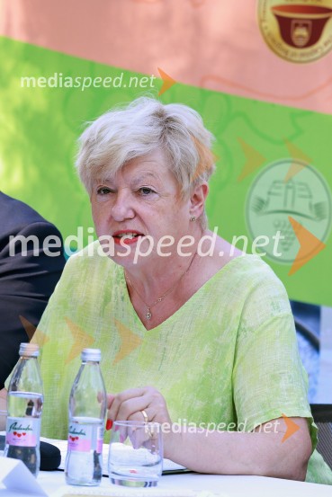 Festival Vinarium 2026, novinarska konferenca
