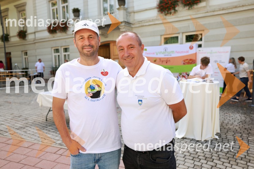 Bogračfest 2026, Festival Vinarium