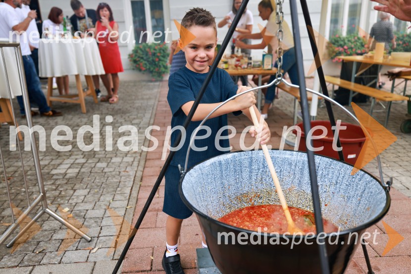 Bogračfest 2026, Festival Vinarium