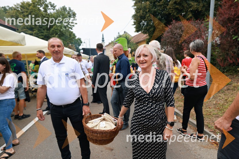 Bogračfest 2026, Festival Vinarium