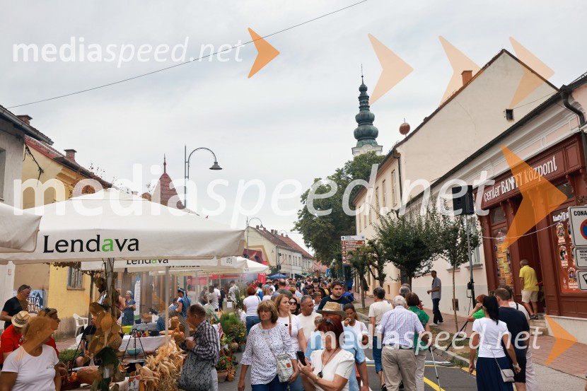 Bogračfest 2026, Festival Vinarium