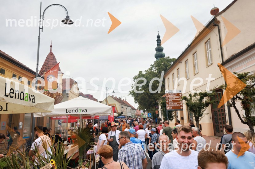 Bogračfest 2026, Festival Vinarium