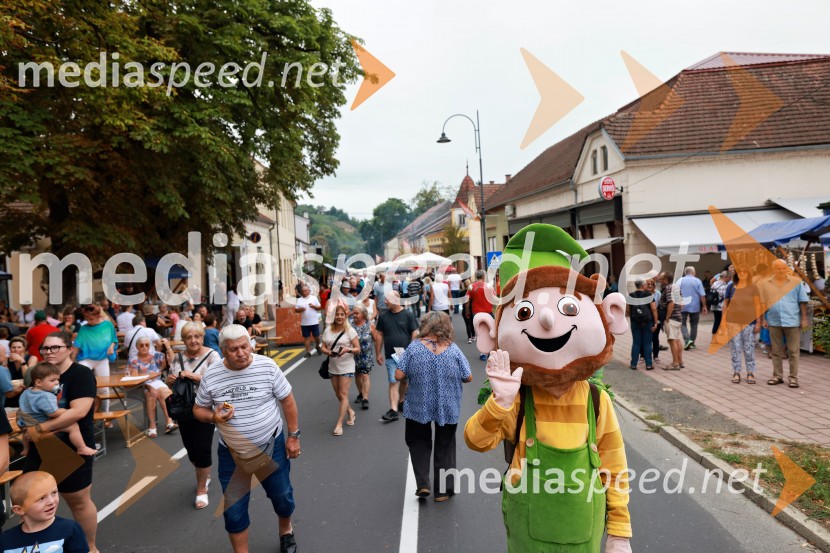 Bogračfest 2026, Festival Vinarium