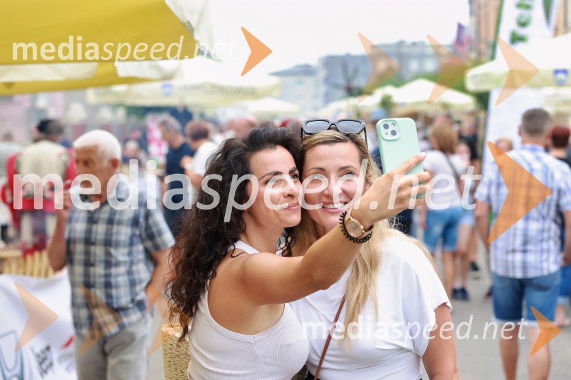 Bogračfest 2026, Festival Vinarium