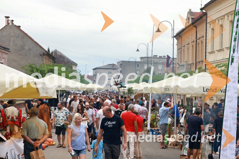 Bogračfest 2026, Festival Vinarium