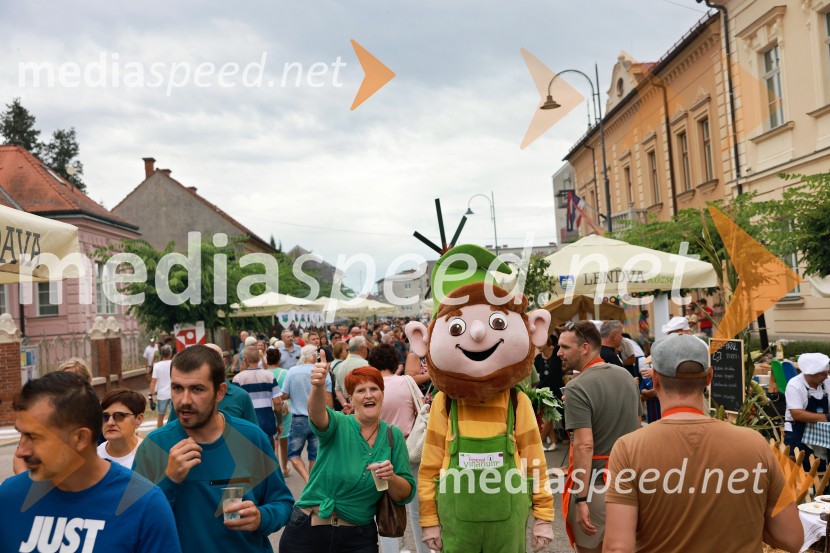 Bogračfest 2026, Festival Vinarium
