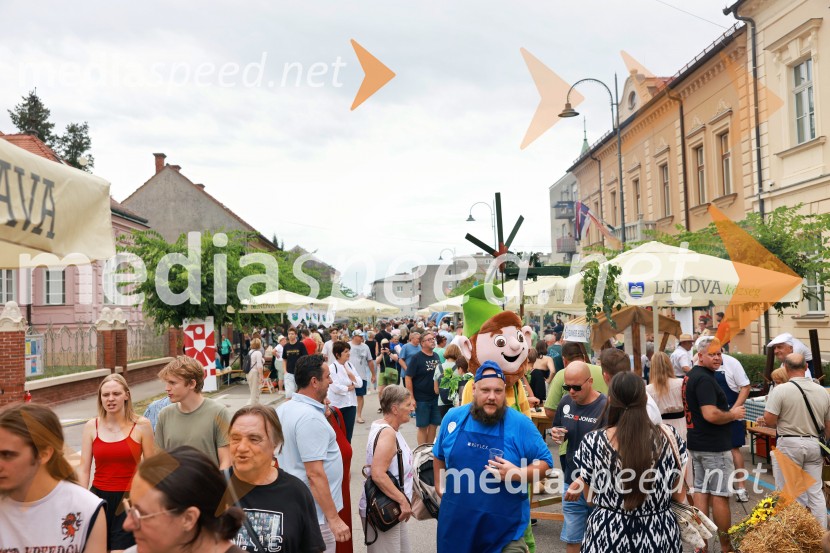 Bogračfest 2026, Festival Vinarium
