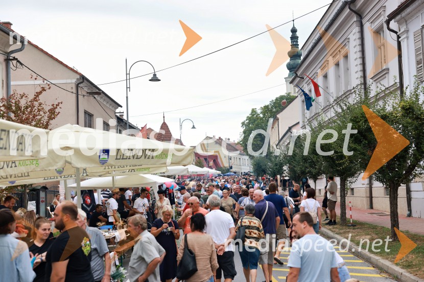 Bogračfest 2026, Festival Vinarium