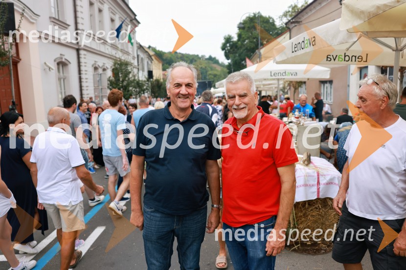 Bogračfest 2026, Festival Vinarium