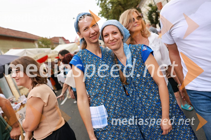 Bogračfest 2026, Festival Vinarium