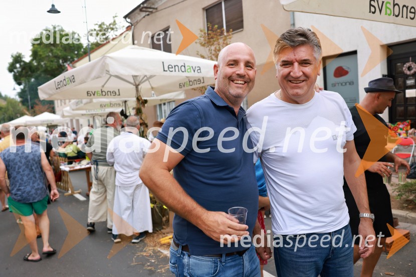 Bogračfest 2026, Festival Vinarium