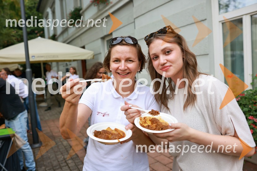 Bogračfest 2026, Festival Vinarium
