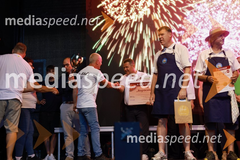 Bogračfest 2026, Festival Vinarium