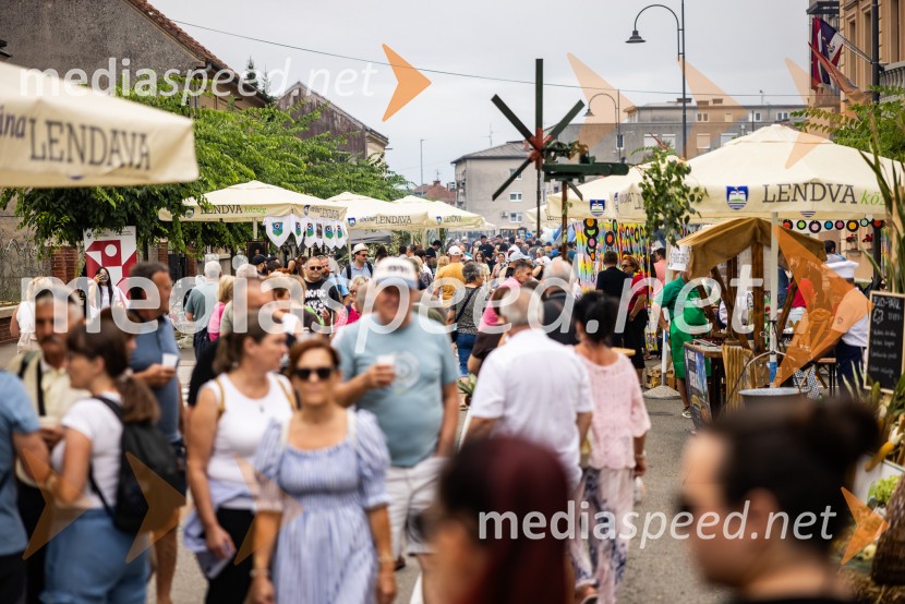 Bogračfest 2026, Festival Vinarium