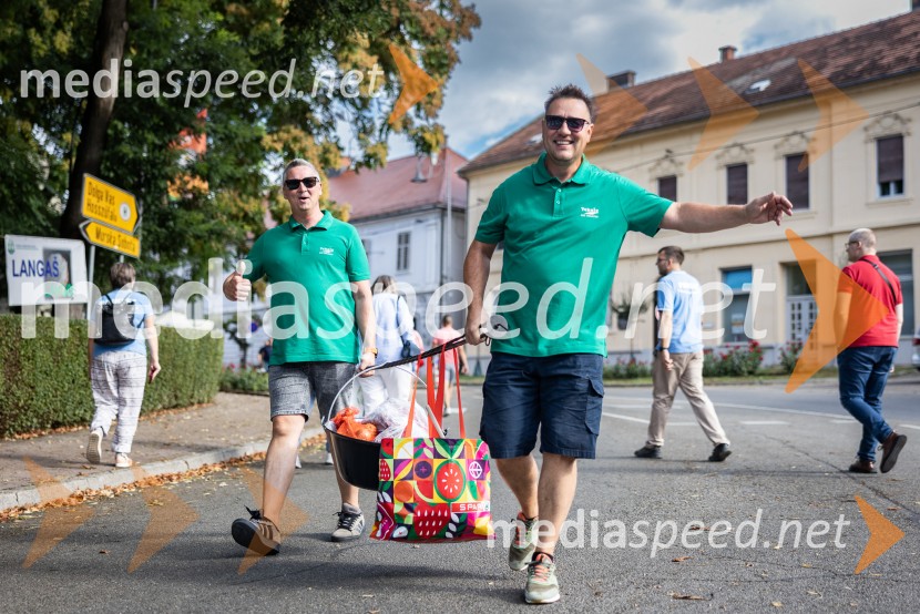 Bogračfest 2026, Festival Vinarium