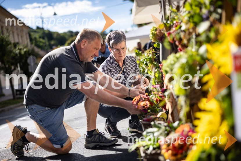 Bogračfest 2026, Festival Vinarium