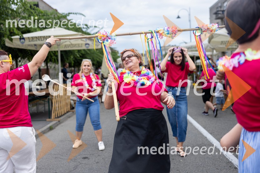 Bogračfest 2026, Festival Vinarium