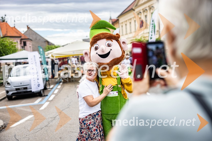 Bogračfest 2026, Festival Vinarium