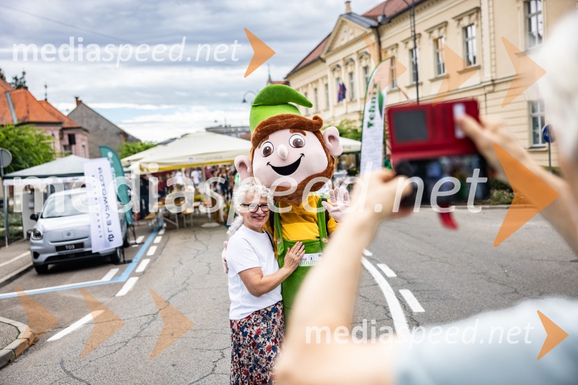 Bogračfest 2026, Festival Vinarium