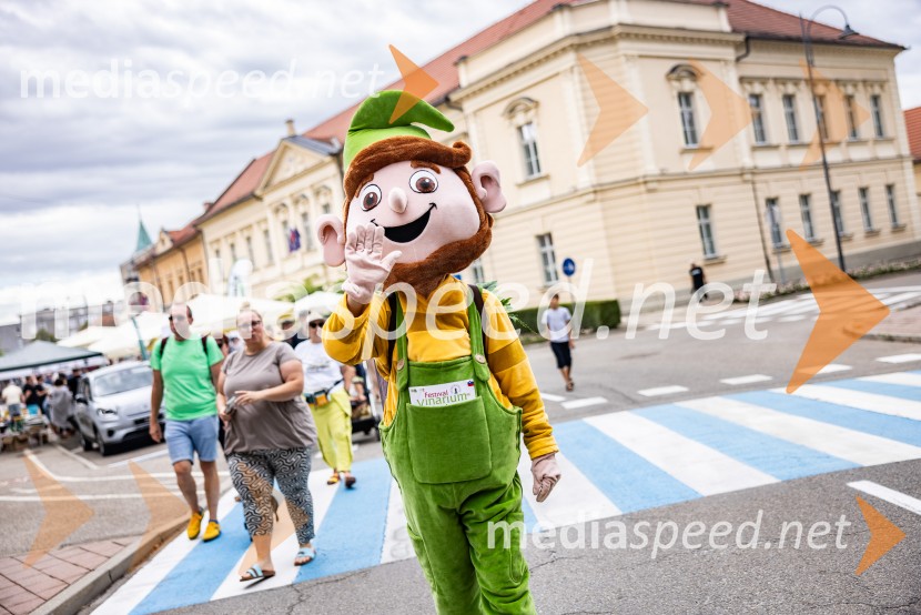 Bogračfest 2026, Festival Vinarium
