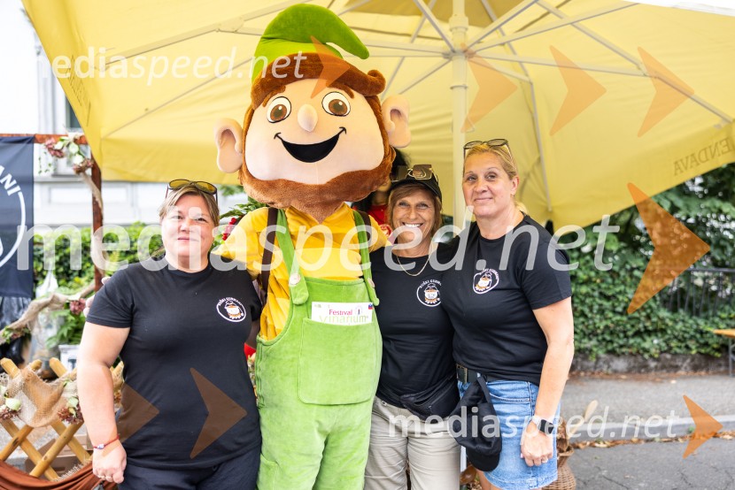 Bogračfest 2026, Festival Vinarium