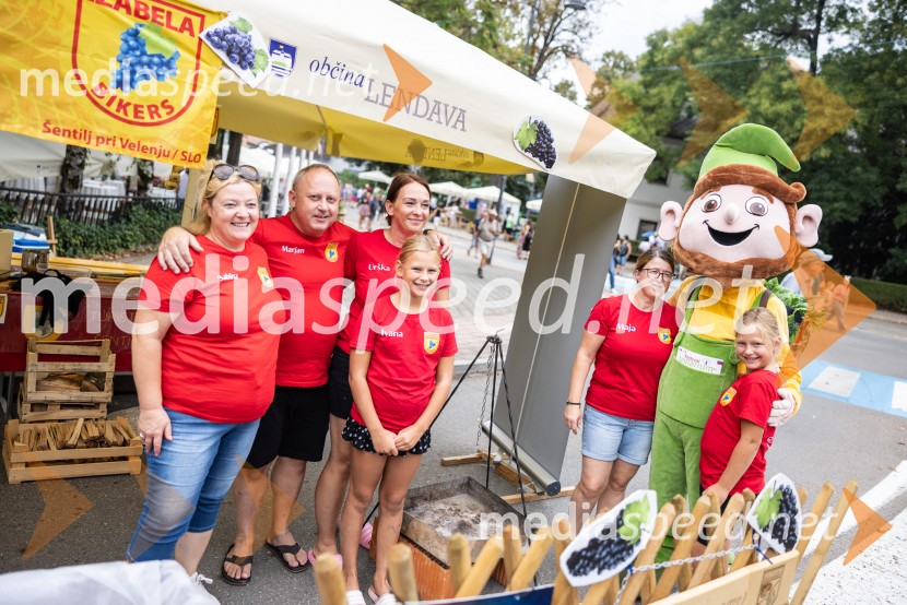 Bogračfest 2026, Festival Vinarium