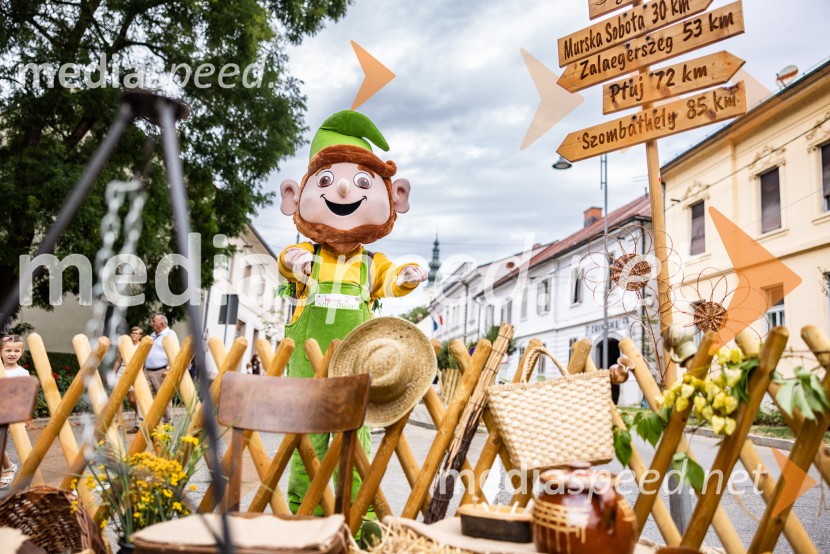 Bogračfest 2026, Festival Vinarium