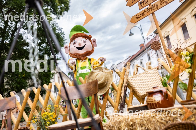 Bogračfest 2026, Festival Vinarium