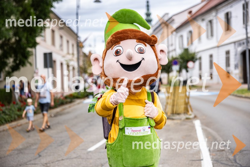 Bogračfest 2026, Festival Vinarium