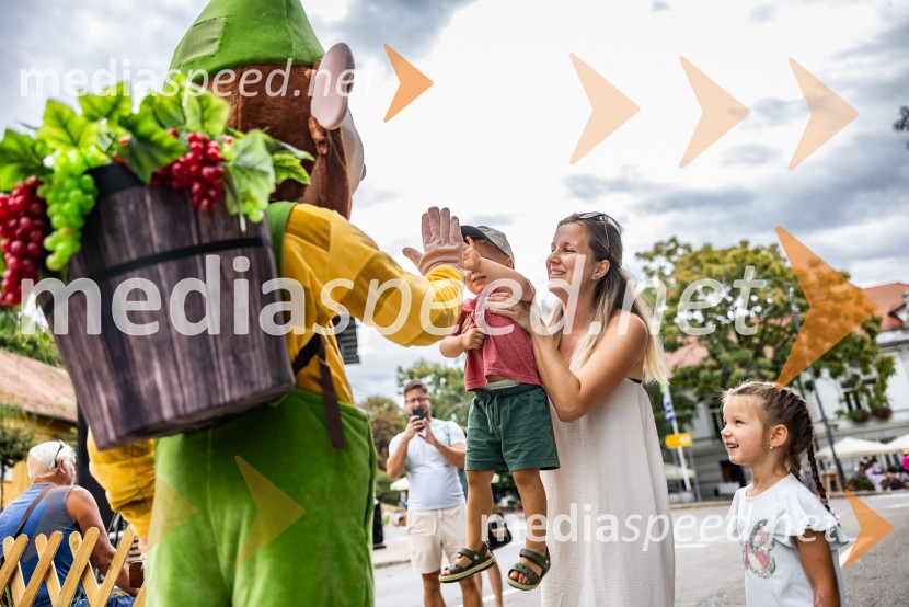 Bogračfest 2026, Festival Vinarium
