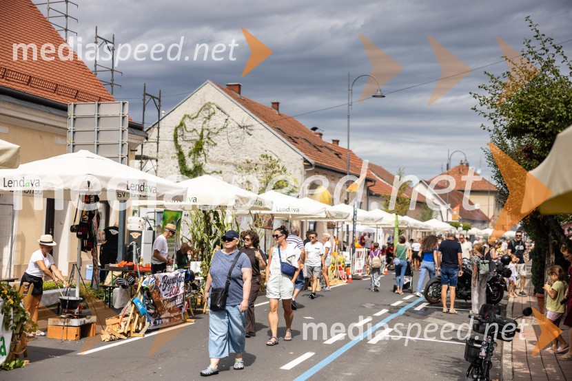 Bogračfest 2026, Festival Vinarium