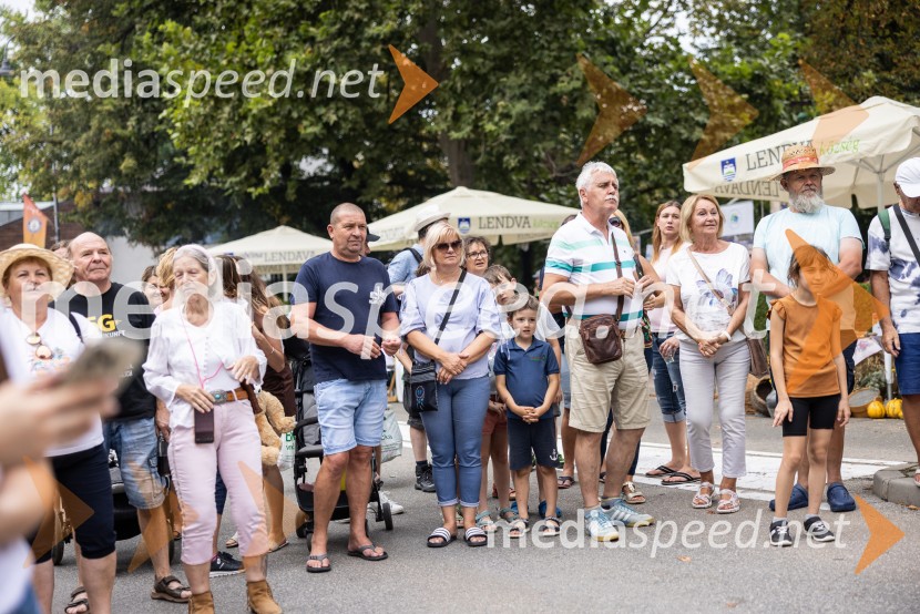 Bogračfest 2026, Festival Vinarium