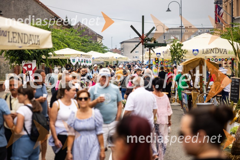 Bogračfest 2026, Festival Vinarium