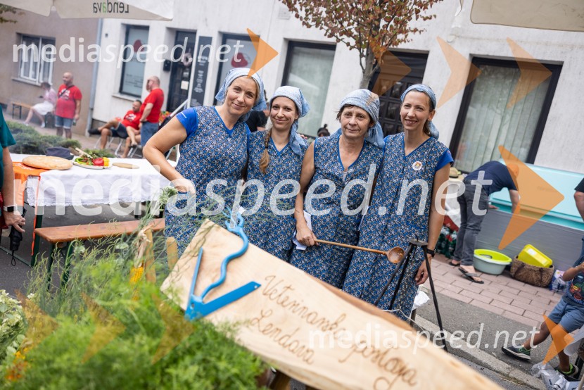 Bogračfest 2026, Festival Vinarium