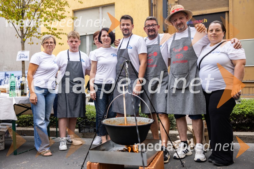 Bogračfest 2026, Festival Vinarium