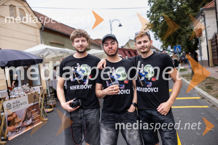 Bogračfest 2026, Festival Vinarium
