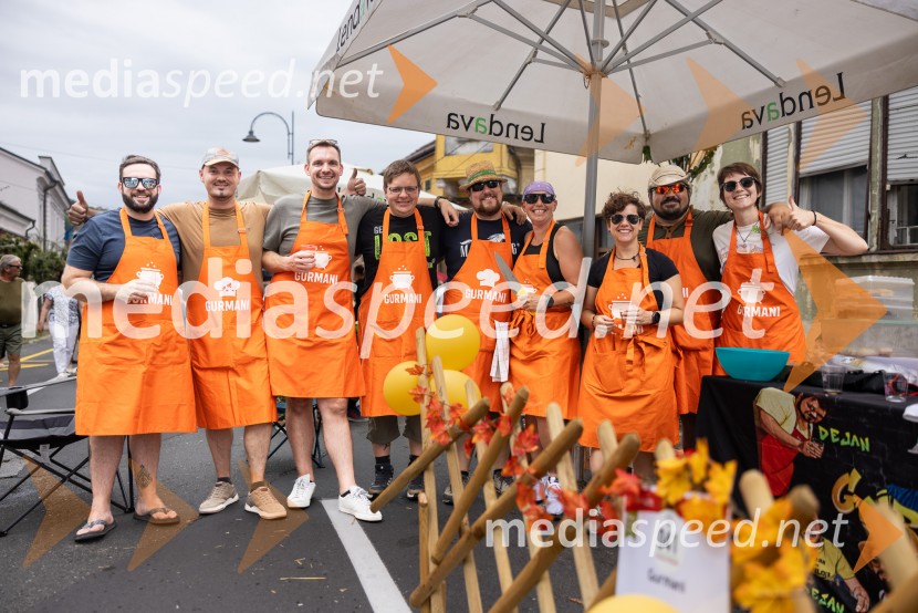 Bogračfest 2026, Festival Vinarium