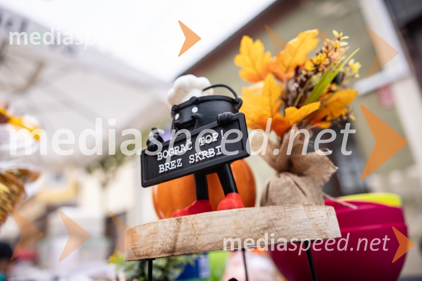 Bogračfest 2026, Festival Vinarium