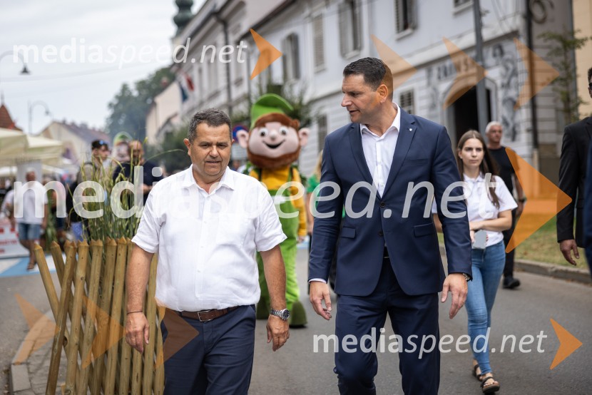 Bogračfest 2026, Festival Vinarium