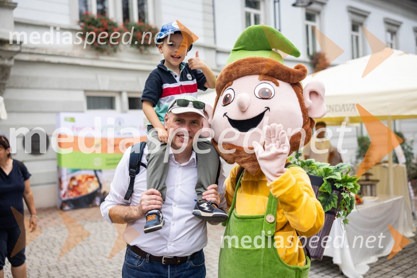 Bogračfest 2026, Festival Vinarium