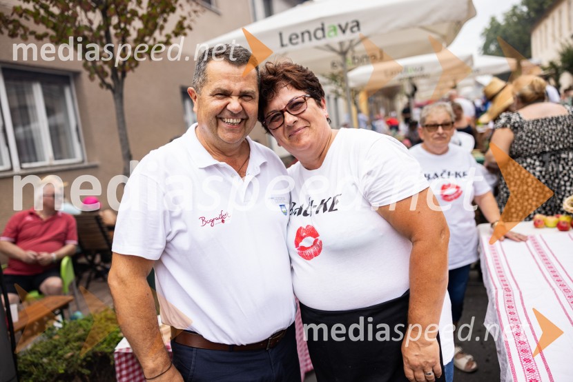 Bogračfest 2026, Festival Vinarium