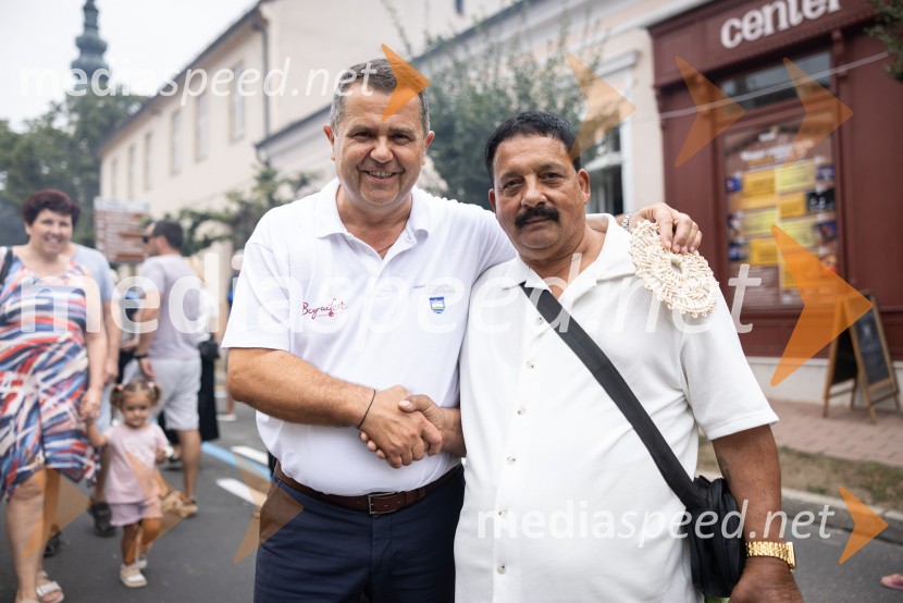 Bogračfest 2026, Festival Vinarium