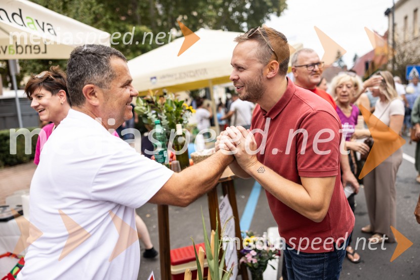 Bogračfest 2026, Festival Vinarium