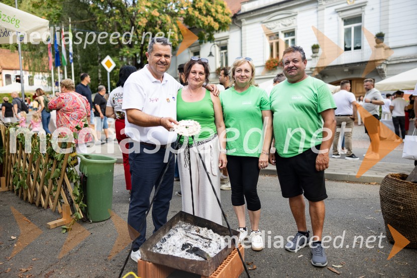 Bogračfest 2026, Festival Vinarium