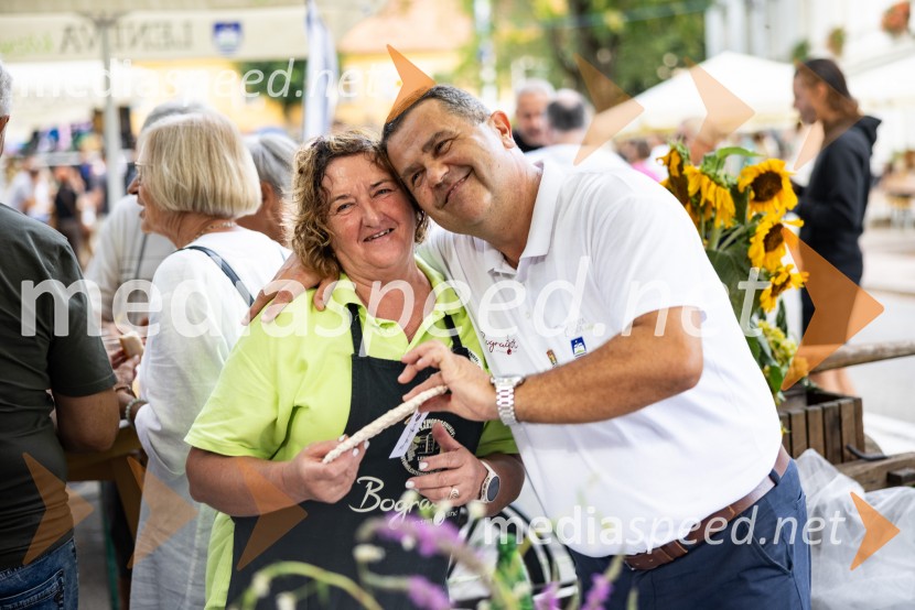 Bogračfest 2026, Festival Vinarium